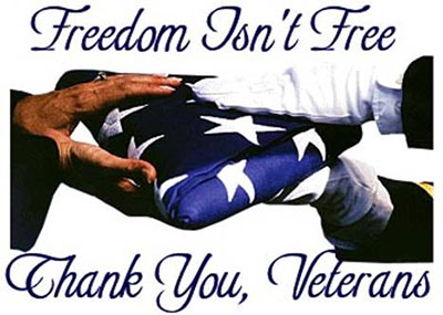 2020-freedom-is-not-free-veterans-day